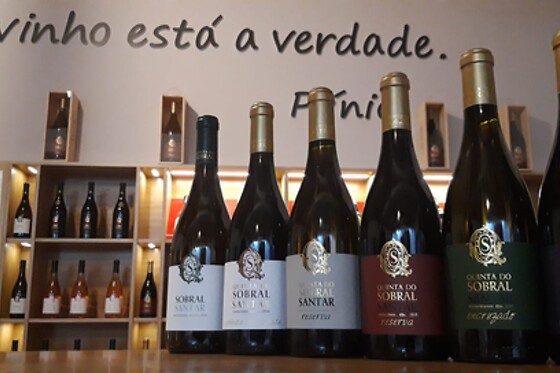 Quinta do Sobral Santar - photo 2
