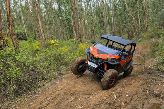 Aluguer de Buggy - Tour com Guia (1h) para 1 | Thomar Adventure  (Serra, Tomar)