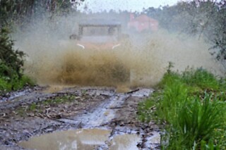 Aluguer de Buggy - Tour com Guia (1h) para 1 | Thomar Adventure  (Serra, Tomar)