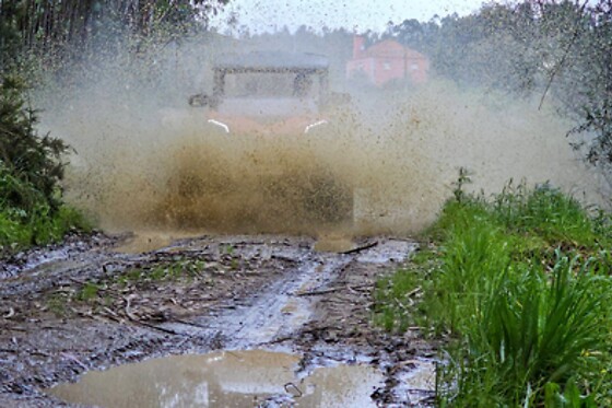 Aluguer de Buggy - Tour com Guia (1h) para 1 | Thomar Adventure  (Serra, Tomar)