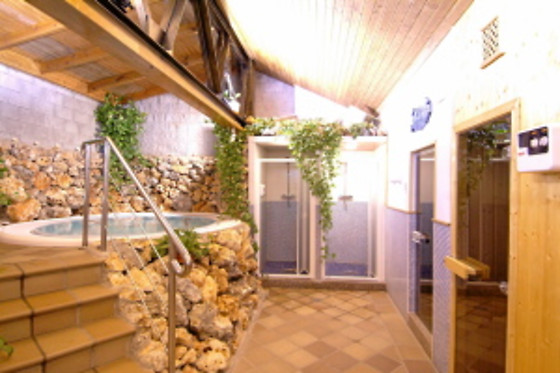 HOTEL PALACIO DE OÑATE SPA - photo 30