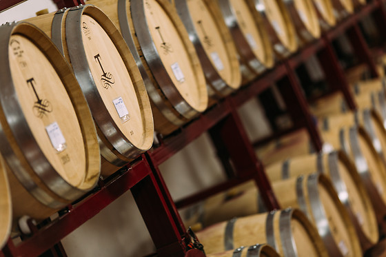 BODEGAS TAMPESTA - photo 0