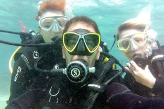 FREEANDIVERS - photo 1