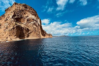 Snorkeling + Ilhéus Das Cabras + Natação com Golfinhos para 1 | OceanEmotion (Angra do Heroismo, Ilha Terceira)