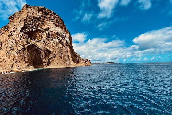Snorkeling + Ilhéus Das Cabras + Natação com Golfinhos para 1 | OceanEmotion (Angra do Heroismo, Ilha Terceira)