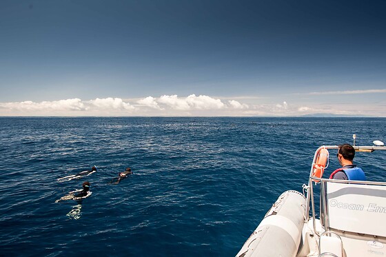 OceanEmotion - photo 2