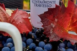 Quinta do Monte Travesso