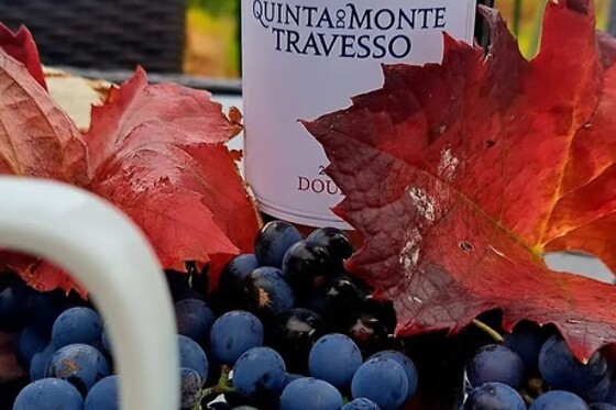 Visita à Adega e Vinha + Prova de 3 vinhos Reserva para 4 | Quinta do Monte Travesso (Tabuaço, Viseu)