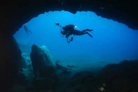 Azul Diving Madeira - photo 8