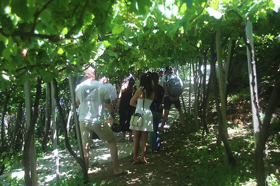 Green Devil - photo 24