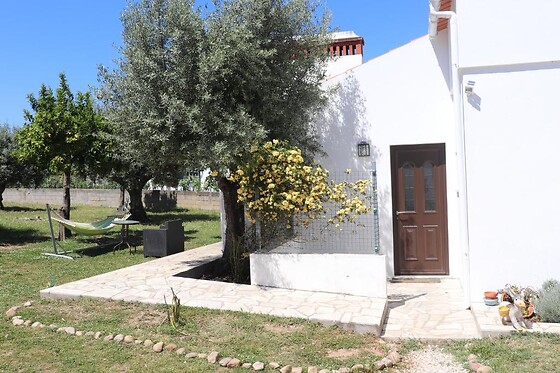 QUINTA DA FÉ - photo 1