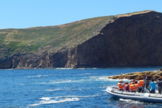 OceanEmotion - photo 7