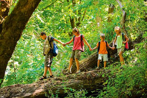 Eco Life Experience - Fuga Perfeita - photo 1