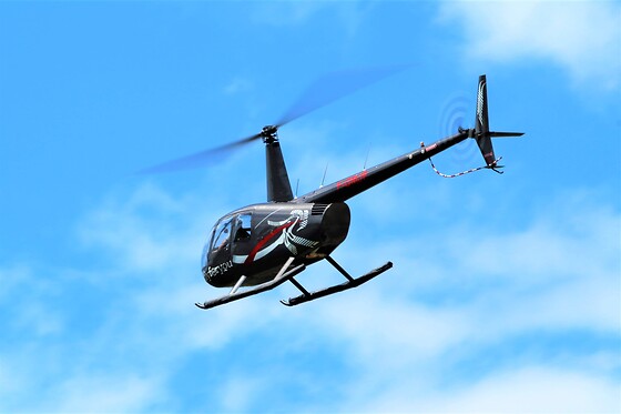 Fly For You - photo 3