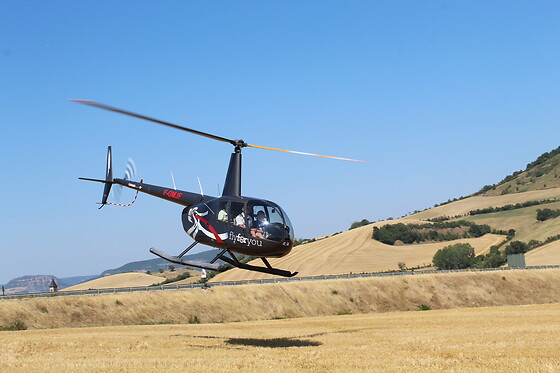 Fly For You - photo 1