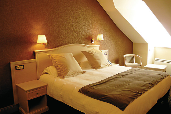 Best Western Le Duguesclin - photo 8