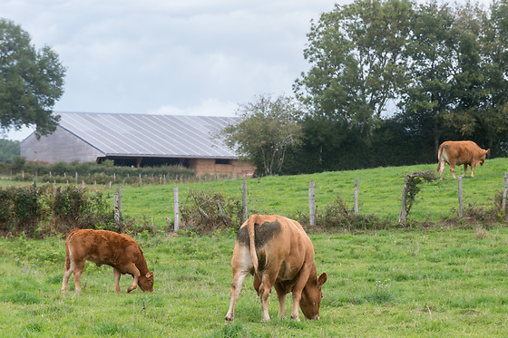Chez Nathalie et Jean-Claude - photo 17