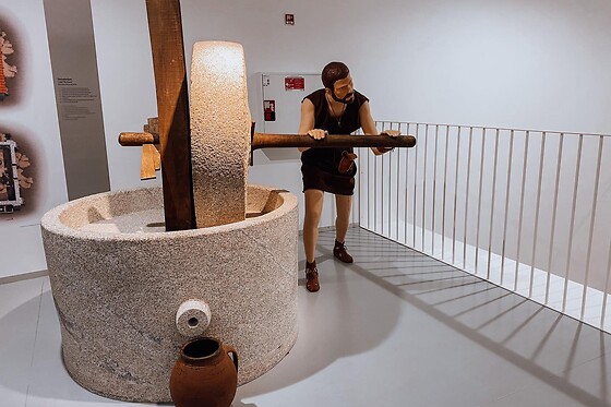 Três bilhetes para entrada no Museu do Azeite | Museu do Azeite (Oliveira do Hospital)