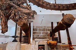 MUSEU DO AZEITE
