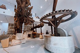 MUSEU DO AZEITE
