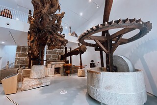 Três bilhetes para entrada no Museu do Azeite | Museu do Azeite (Oliveira do Hospital)