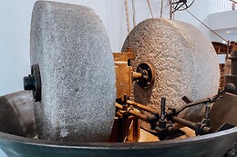 MUSEU DO AZEITE
