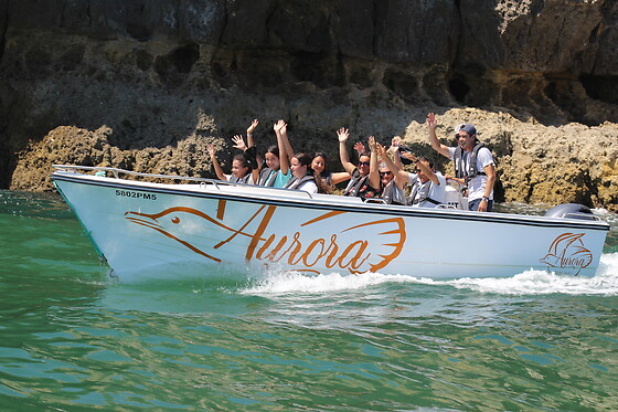 Aurora Boat Trips - photo 0