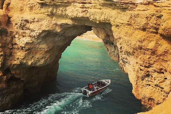 Aurora Boat Trips - photo 4