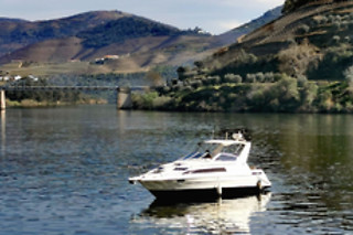 Passeio de barco privado no Douro - 1h | Deltatur - Até 4 pessoas
