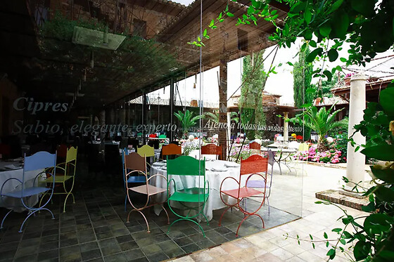 GASTRO-HOTEL PALACIO DE LA SERNA - photo 16