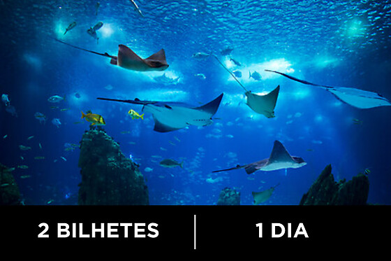 Oceanário de Lisboa - 2 bilhetes