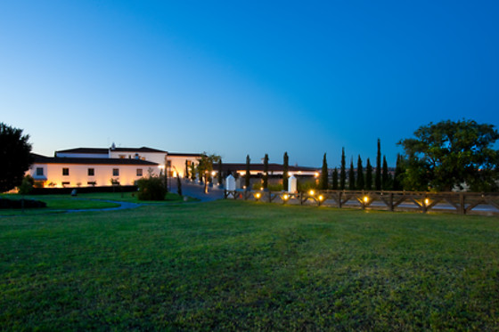 HOTEL PALACIO DE ARENALES & SPA - photo 22