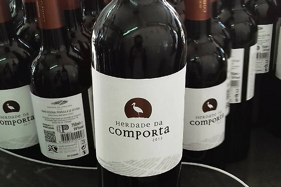 Visita à Adega com Prova de vinho 