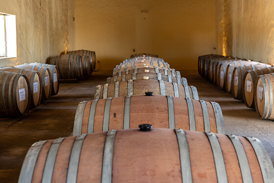 Visita à Adega com Prova de vinho 