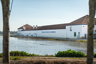 Visita à Adega com Prova de vinho "Tailor made" e Tábua pequena para 2 |  Adega da Herdade da Comporta ( Comporta, Setúbal)