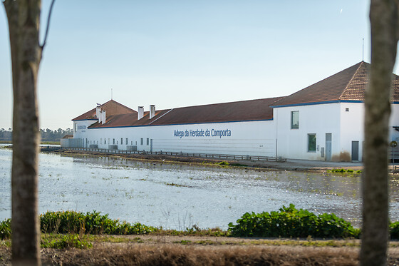 Visita à Adega com Prova de vinho 