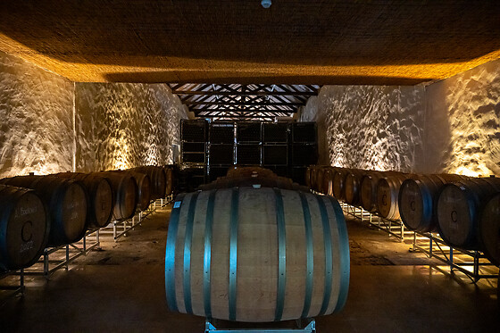 Visita à Adega com Prova de vinho 