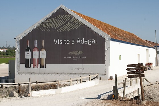 Visita à Adega com Prova de vinho 