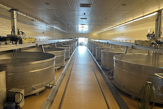 Visita à Adega com Prova de vinho 