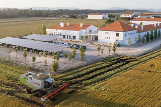 Visita à Adega com Prova de vinho "Tailor made" e Tábua pequena para 2 |  Adega da Herdade da Comporta ( Comporta, Setúbal)