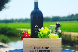 Adega da Herdade da Comporta