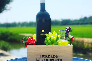 Visita à Adega com Prova de vinho "Tailor made" e Tábua pequena para 2 |  Adega da Herdade da Comporta ( Comporta, Setúbal)