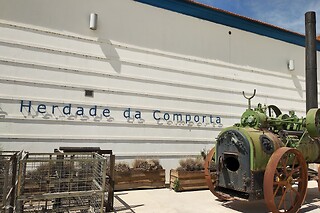 Visita à Adega com Prova de vinho "Tailor made" e Tábua pequena para 2 |  Adega da Herdade da Comporta ( Comporta, Setúbal)