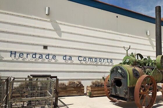 Visita à Adega com Prova de vinho 