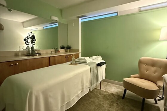 Uma massagem à escolha (30m) para 1 | Selini - Clinic & Spa (Parque das Nações, Lisboa)
