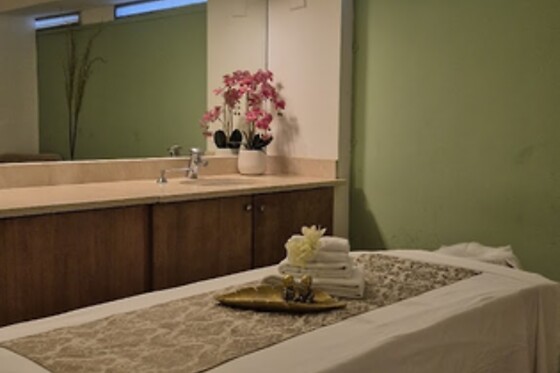 Uma massagem à escolha (30m) para 1 | Selini - Clinic & Spa (Parque das Nações, Lisboa)