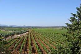 QUINTA DO CARNEIRO