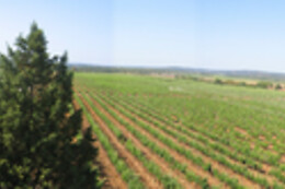 QUINTA DO CARNEIRO