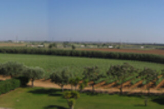 Visita à Adega + Prova de Vinhos Pinot para 2 | Quinta do Carneiro, Alenquer (Lisboa)