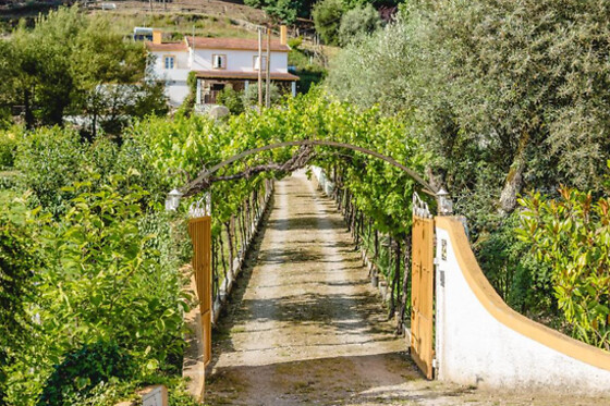 Uma noite em suite com pequeno-almoço e um welcome pack | Magnolias Cottage (Lousã, Coimbra)